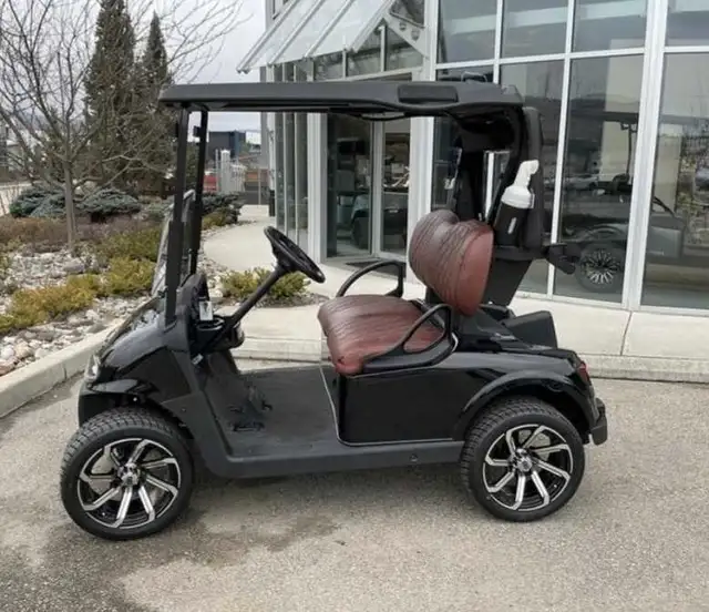 Golf Cart gas and electric options in Other in Saskatoon - Image 3