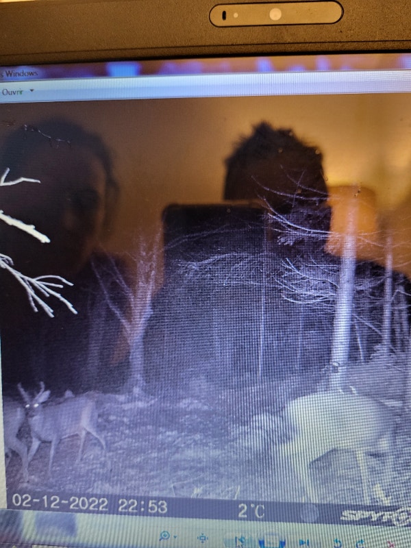 Chasse au chevreuil 2023 hemmingford 35