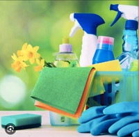 Are you looking for a house cleaning?