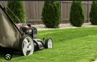 Looking for grass cutting/property maintenance work