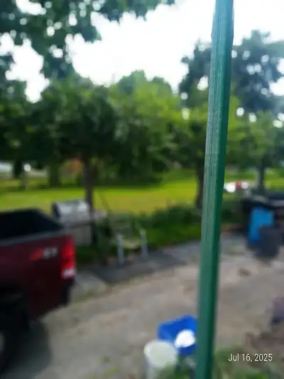Free apple tree wood, View more