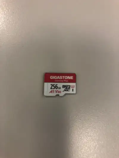 Gigastone Gaming Plus 256GB SD card, View more