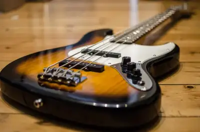 Experienced Bass Player Available, View more
