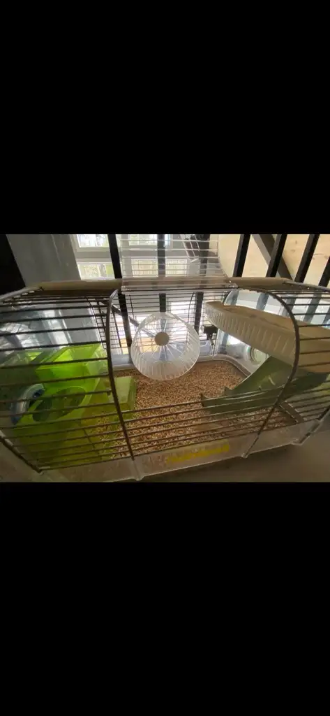 cage pour hamster in Accessories in Lanaudière - Image 10