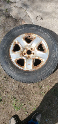 Toyota rims with tires