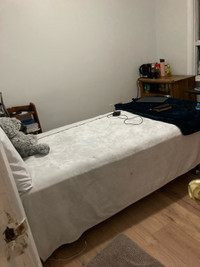 Furnished room with single bed in basement in Markham 