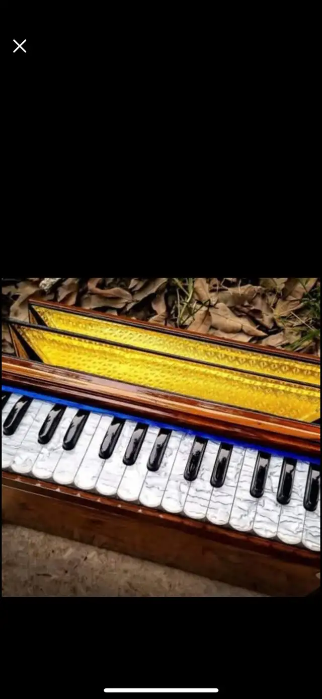 Indian Music Academy478648004007710723