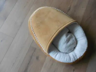 Moccasin Style Shoe Pet Bed, View more