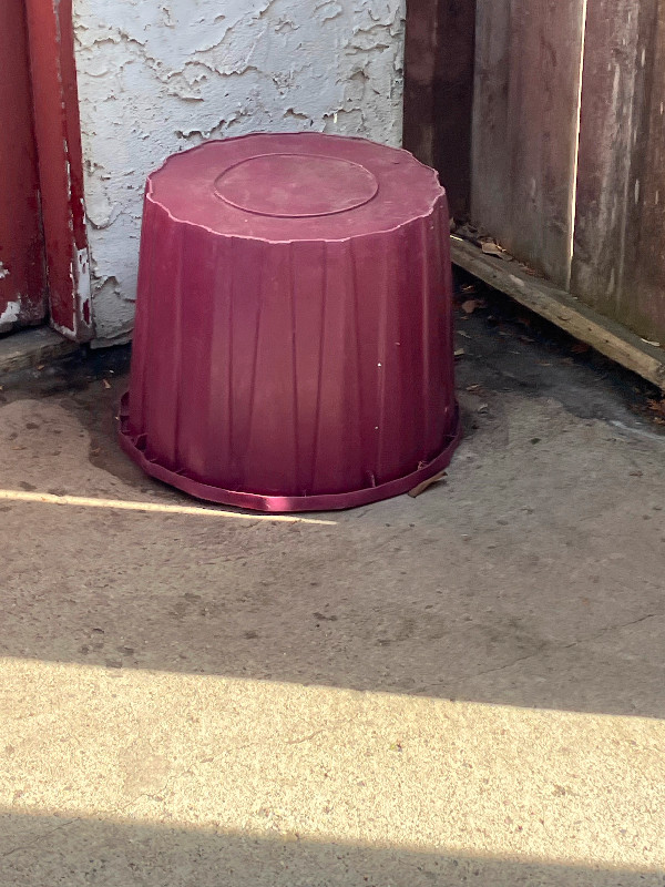 Outdoor pots dans Décoration extérieure  à Ville de Régina - Image 2