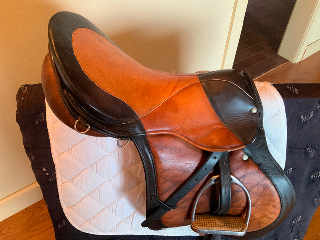 5 well-maintained used English saddles at a very low price! in Equestrian & Livestock Accessories in Peterborough - Image 2