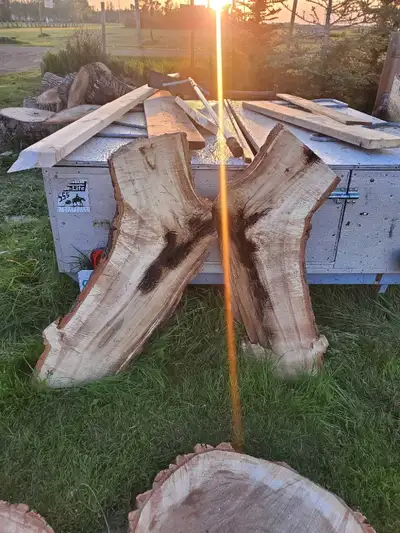 Medium & Large Raw Wood Cookie Slabs, View more