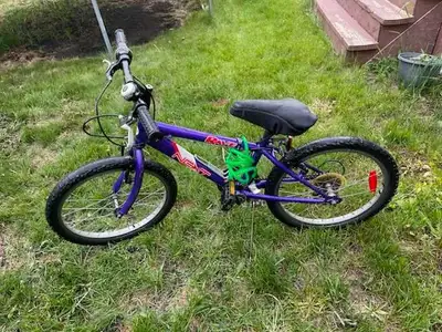2 bikes for sale, 1 for free, View more