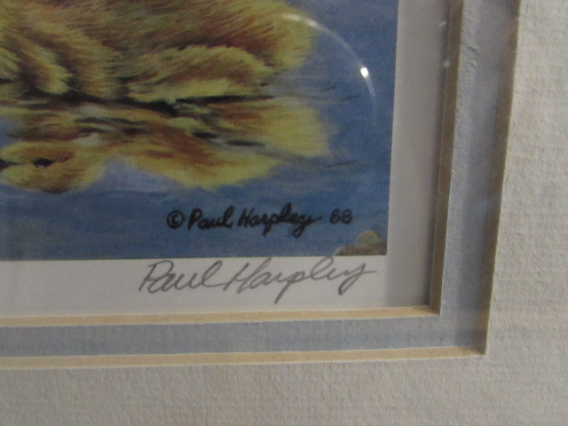 Paul Harpley "Goose Family" Framed Limited Print in Other in Hamilton - Image 3