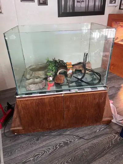 80 gallon terrarium with stand and accessories, View more