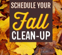 Fall clean up 
