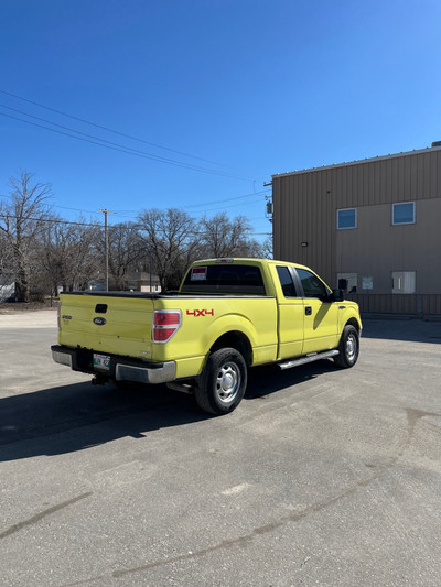 SAFETIED 2014 F-150