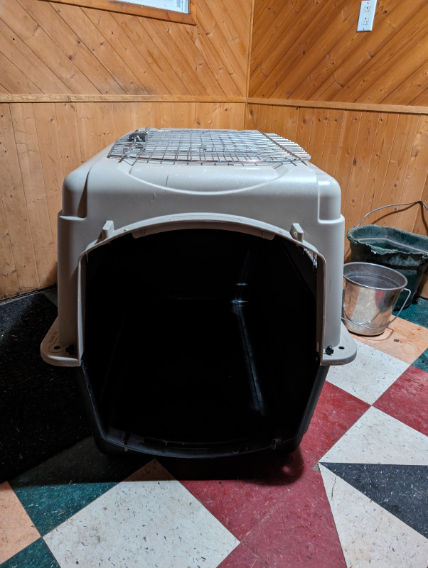 Large Dog Kennel in Accessories in Edmonton - Image 2