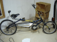 Recumbent CCM bike
