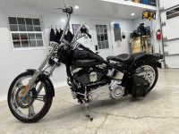 Harley Davidson Softail Custom 