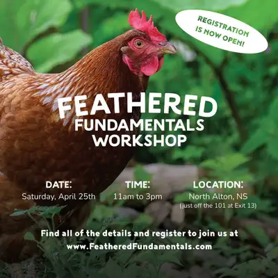 Getting Chickens This Year? There's a Workshop For That , View more