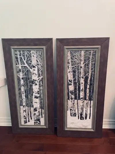 Two beautiful 39"x18" framed birch wall pictures