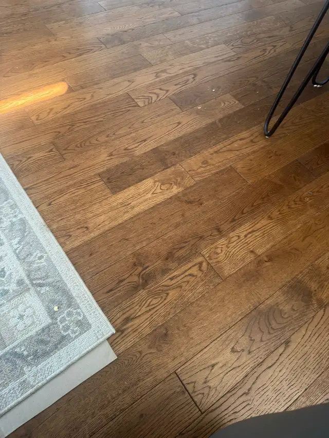 housecleaning 