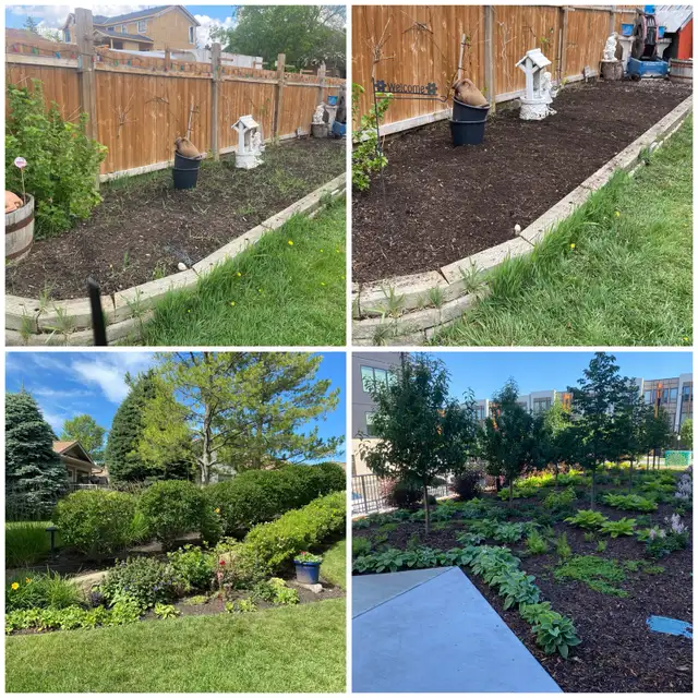 Spring CLEAN UP and lawn care in Lawn, Tree Maintenance & Eavestrough in Calgary - Image 6