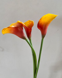 3 plastic  Calla lilies 