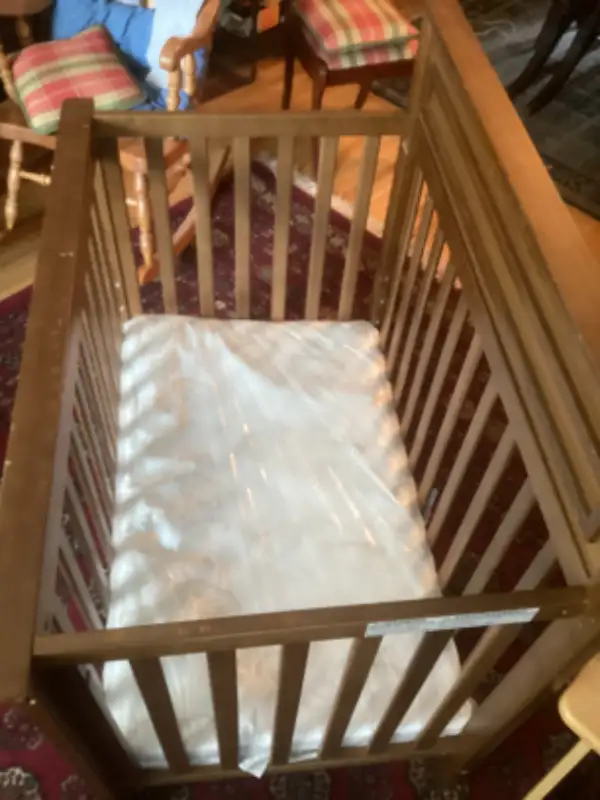 DaVinci “Autumn” 4 in 1 crib in Cribs in City of Toronto - Image 3