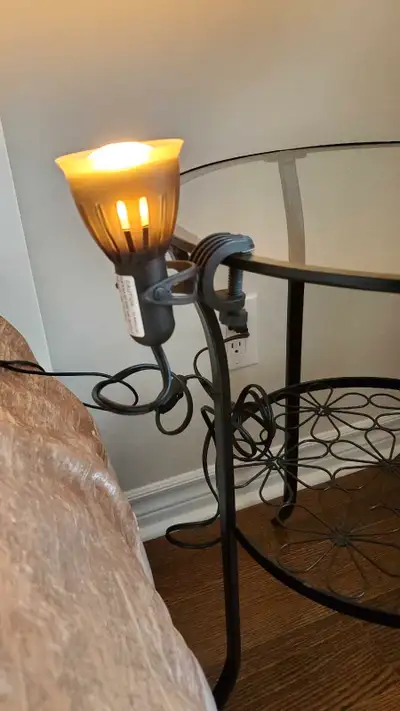 Little  lamp, View more