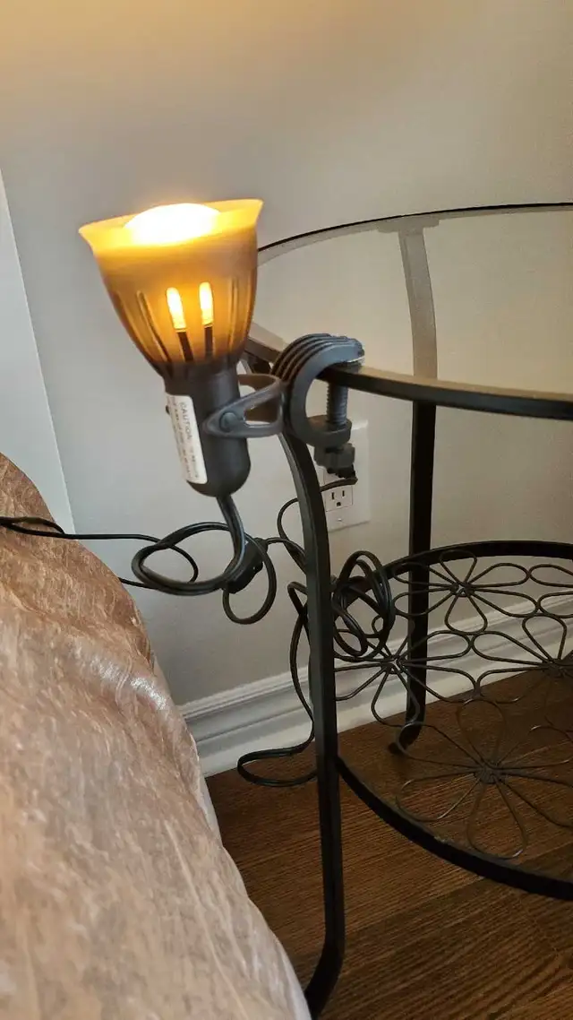 Little  lamp in Indoor Lighting & Fans in Oakville / Halton Region - Image 2
