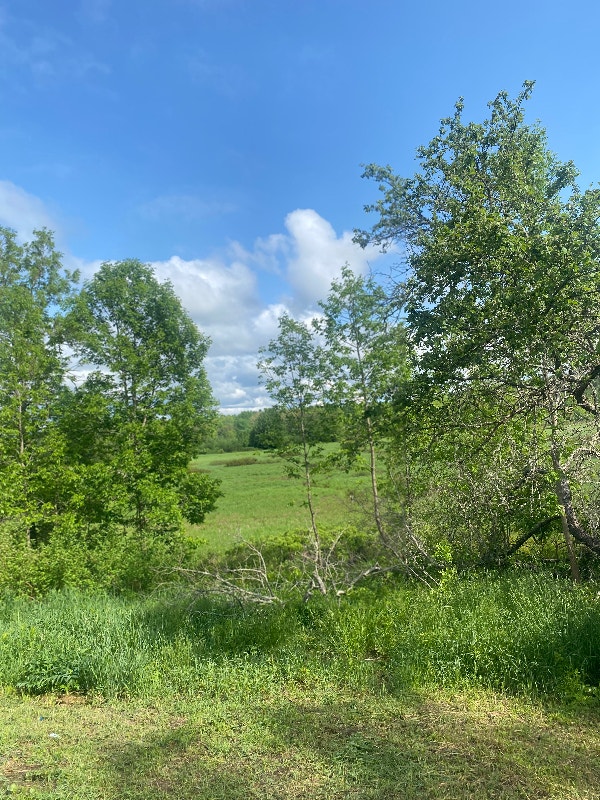 5 acres with building, driveway, and power pole on route 121 Land for