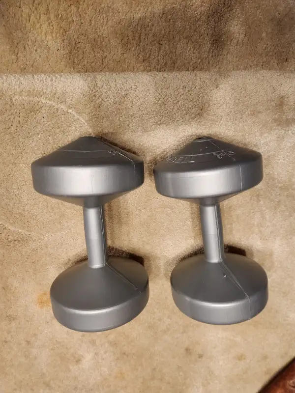 10 LBS (4.5KG) Weights