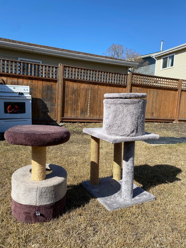 2 cat Towers/Trees in Animal & Pet Services in Edmonton - Image 3