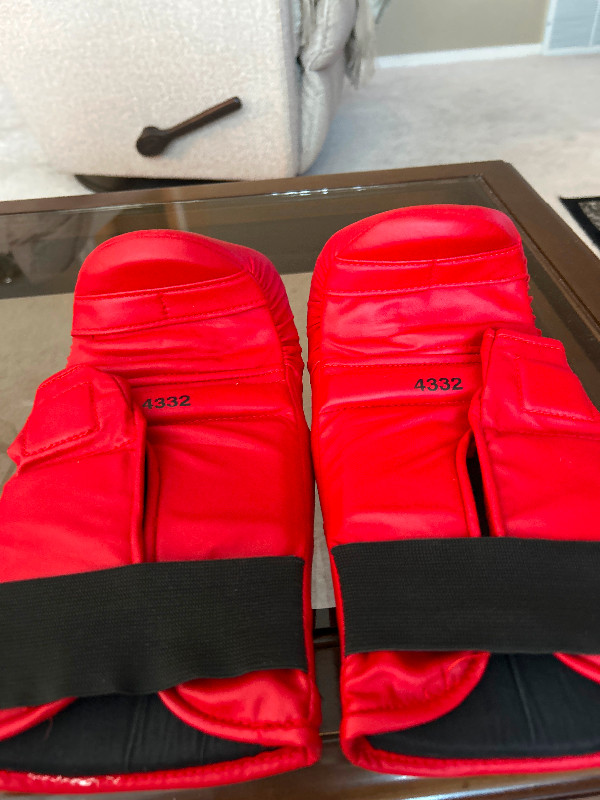 Everlast Boxing  Cardio  Fitness Gloves Red. in Exercise Equipment in Edmonton - Image 2