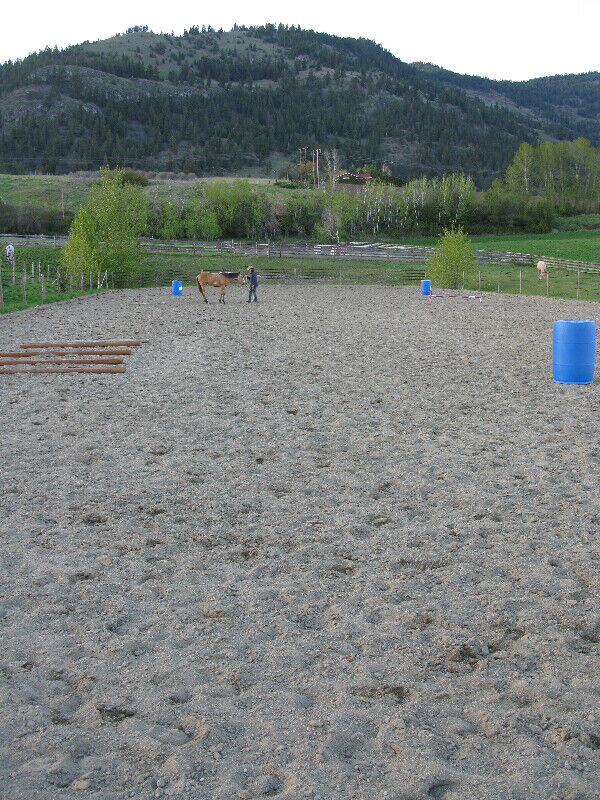 Horse Boarding in Vernon, BC in Equestrian & Livestock Accessories in Vernon - Image 2