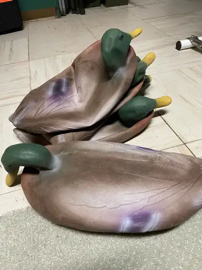 Set of 23Mallard Duck Decoys, View more