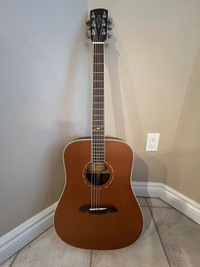 New Acoustic Guitar for slae