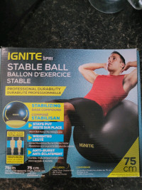 IGNITE Spri  Stable Ball 75cm