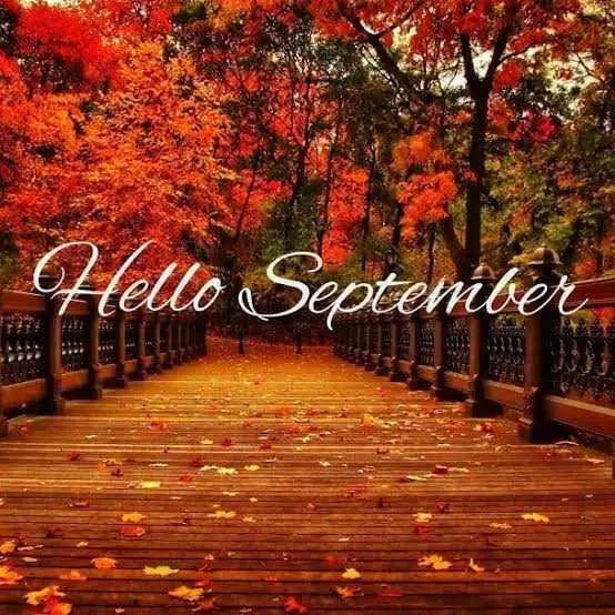 anyone hiring for September?
