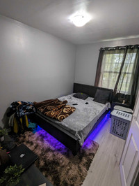 Single private bedroom 