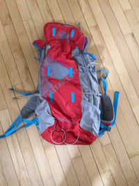 Eddie Bauer first ascent 650 grams backpack 