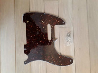 Telecaster pickguard