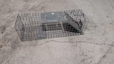 24x7x7 live animal box trap. Excellent condition. Good for smaller animals like skunks and squirrels...