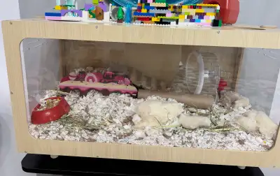 Hamster with cage and more, View more