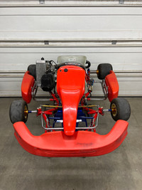 Birel Rotax Go Kart