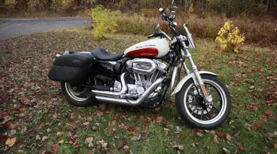 2011 Harley Sportster 883L Superlow 33,350km Screaming Eagle exhaust & air intake. Saddle bags, remo...