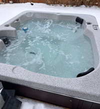 Arctic Spa Hot Tub **like New**
