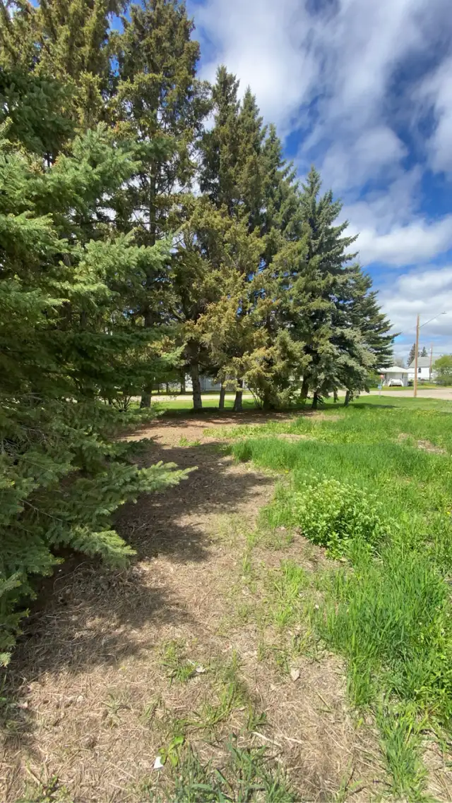 Double lot in Springside for sale  in Land for Sale in Saskatoon - Image 3
