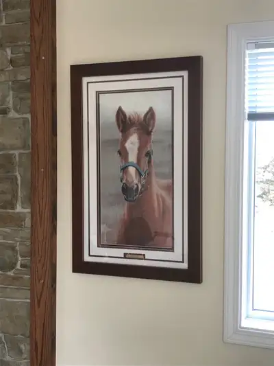 “BABY FACE” by ADELINE HALVORSON. This professionally and triple raised matted framed signed and num...